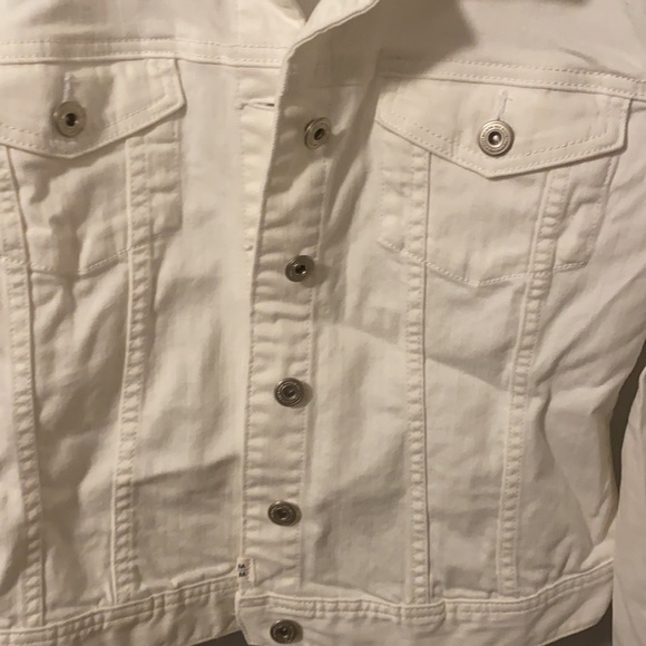 Jacket - Picture 3 of 5